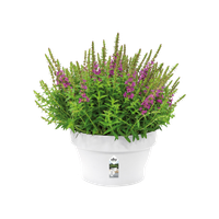 loft urban coupe 35cm blanc